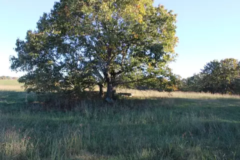 3 77 Acres - Zinc Rd, Harrison, AR 72601 photo 10