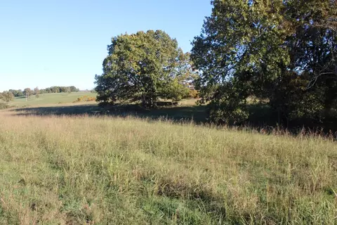 3 77 Acres - Zinc Rd, Harrison, AR 72601 photo 6