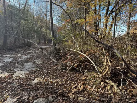 tbd Valley Dr, Holiday Island, AR 72631