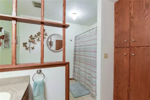 Bath - 26742 Royal Point Dr, Shell Knob, MO 65747 photo 3 of 4