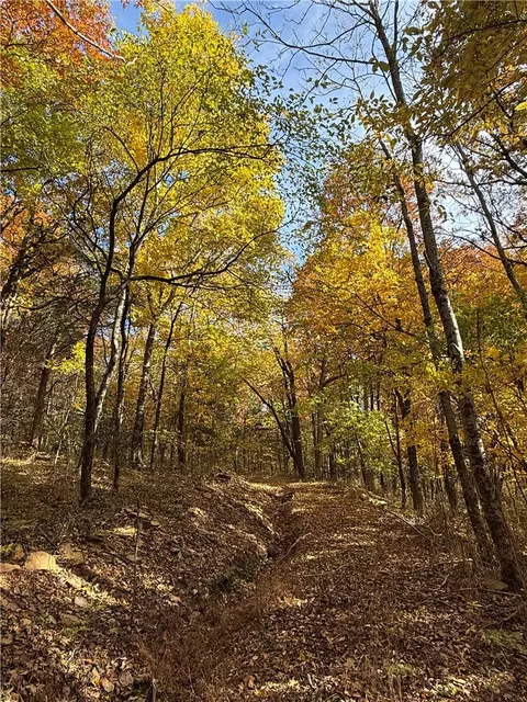 14710 Summer Shade Rd, West Fork, AR 72774