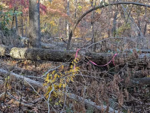 000 Rock Rd, Rogers, AR 72756 photo 9