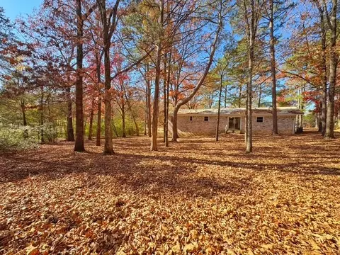 Exterior - 147 Memory Ln, Clinton, AR 72031 photo 5 of 8