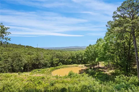 View/Area - 9417 Puddin Ridge Rd, Ozark, AR 72949 photo 1 of 1