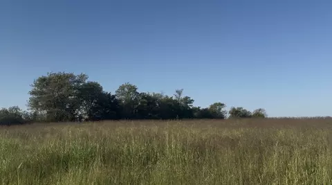 3515 Maple Springs Rd, Russellville, AR 72802