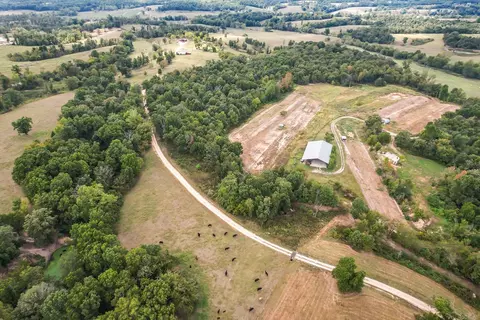 View/Area - 16313 Van Hook Rd, Gentry, AR 72734 photo 17 of 24