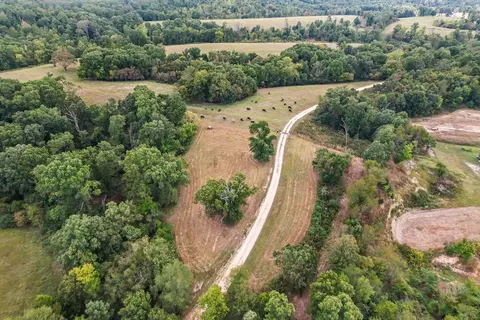 View/Area - 16313 Van Hook Rd, Gentry, AR 72734 photo 15 of 24