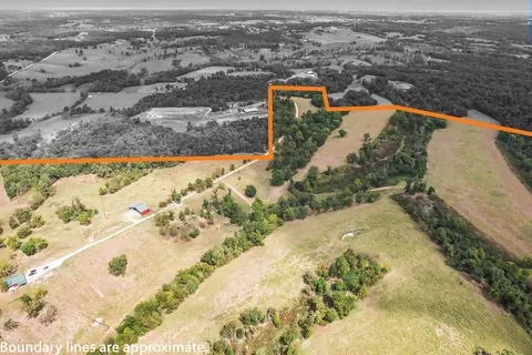 View/Area - 16313 Van Hook Rd, Gentry, AR 72734 photo 3 of 24