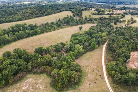 View/Area - 16313 Van Hook Rd, Gentry, AR 72734 photo 16 of 24