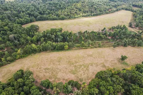 Other - 16313 Van Hook Rd, Gentry, AR 72734 photo 13 of 13