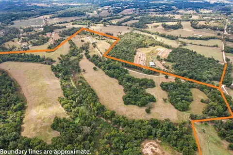Other - 16313 Van Hook Rd, Gentry, AR 72734 photo 2 of 13