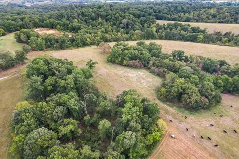 Other - 16313 Van Hook Rd, Gentry, AR 72734 photo 12 of 13