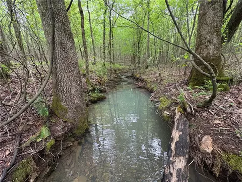 Tract 7 Nwf 517, Other, AR 71935