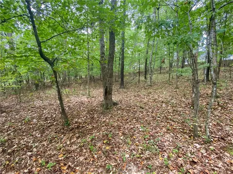 91 Nc 8510, Deer, AR 72628 photo 23