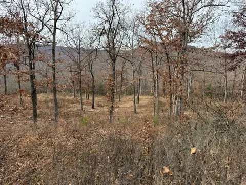 lot65 Restore Rdg, Harrison, AR 72601 photo 12
