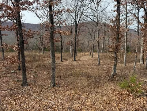 lot65 Restore Rdg, Harrison, AR 72601 photo 11