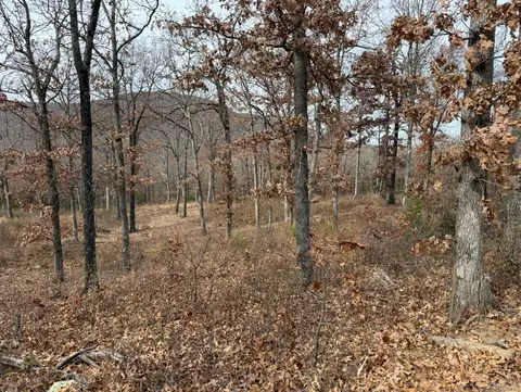 lot65 Restore Rdg, Harrison, AR 72601 photo 8