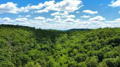 530 Cr-605, Green Forest, AR 72638
