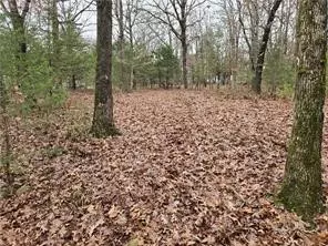 14815 Paulk Rd, West Fork, AR 72774 photo 8