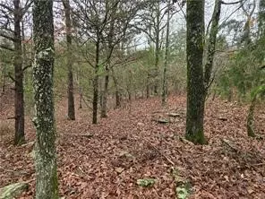 14815 Paulk Rd, West Fork, AR 72774 photo 9
