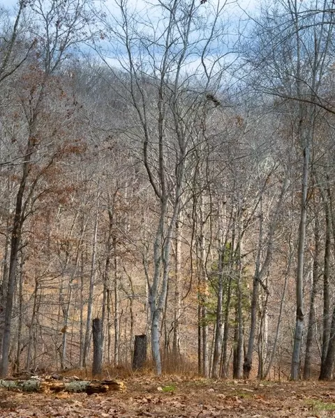 lot4 S Old Dutch, Rogers, AR 72756