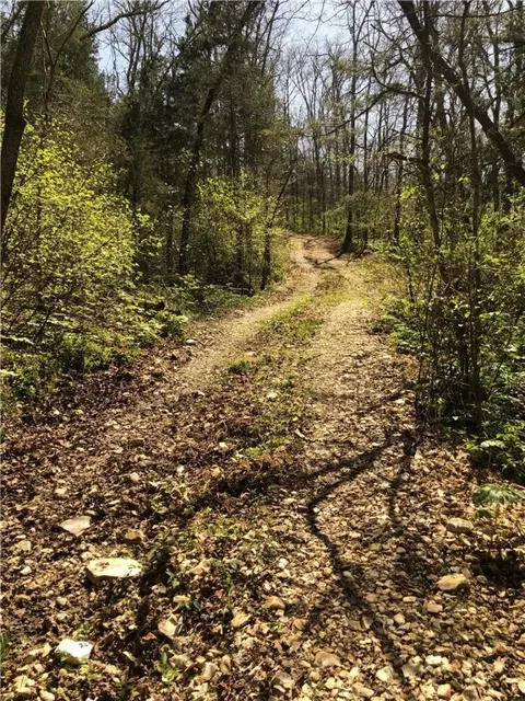 2873 Gutter Rd, Harriet, AR 72639 photo 7