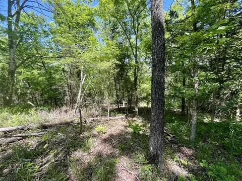 tbd Thunderbird Ln, Holiday Island, AR 72631