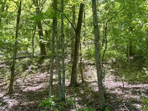 tbd Thunderbird Ln, Holiday Island, AR 72631