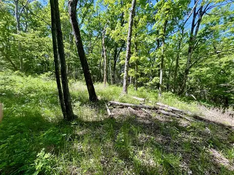 tbd Thunderbird Ln, Holiday Island, AR 72631