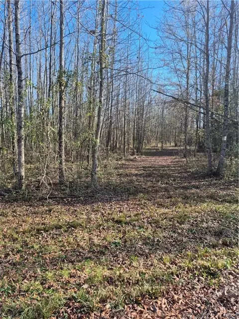 10169 Rebel Ln, Danville, AR 72833