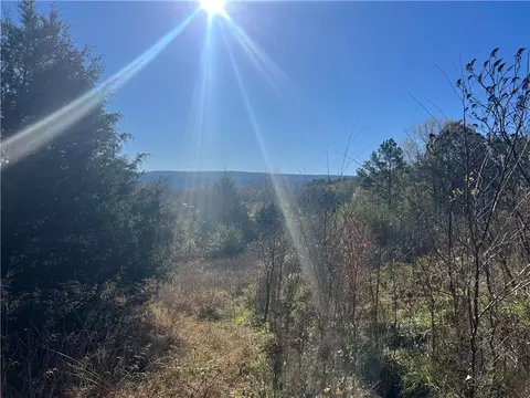 17411 S Hwy 307, Other, AR 72827