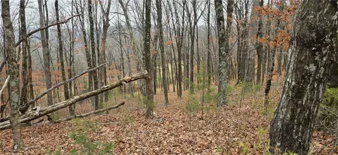 10527 E Devils Den Rd, Winslow, AR 72959 photo 2