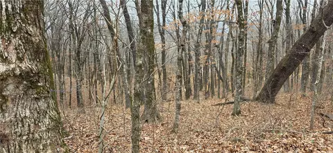 10527 E Devils Den Rd, Winslow, AR 72959
