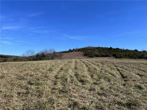Whitetail Drive, Harrison, AR 72601 photo 9