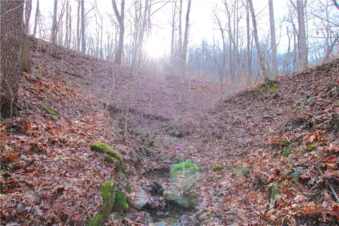 611 County Road 1 Rd, Oark, AR 72854 photo 17