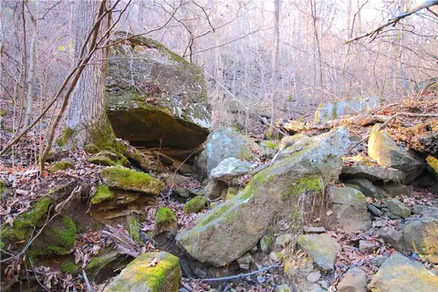 611 County Road 1 Rd, Oark, AR 72854 photo 27