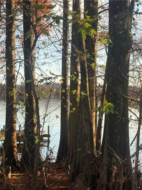 Undisclosed, Atkins, AR 72823