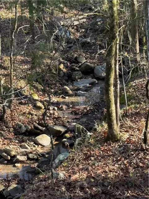 Nebo Acres Road, Dardanelle, AR 72834