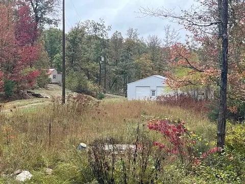 Exterior - 185 Petters Rd, Mountain View, AR 72560 photo 5 of 6
