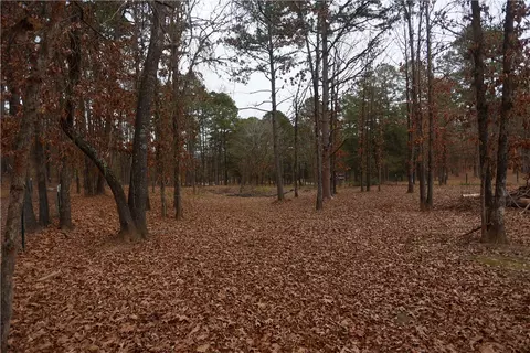 96 S Fork Ln, Dover, AR 72837 photo 29