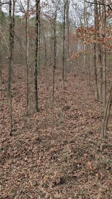 Evans Mountain Road, Appleton, AR 72823 photo 4