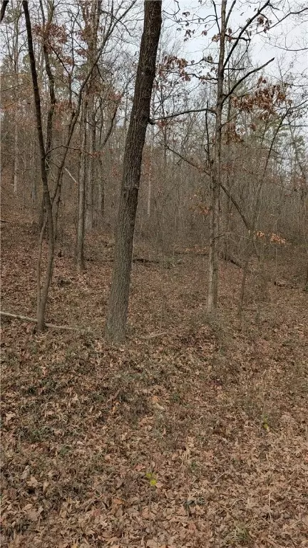 Evans Mountain Road, Appleton, AR 72823 photo 5