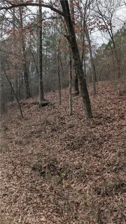 Evans Mountain Road, Appleton, AR 72823 photo 3