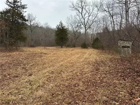 Madison 3345, Witter, AR 72776 photo 5