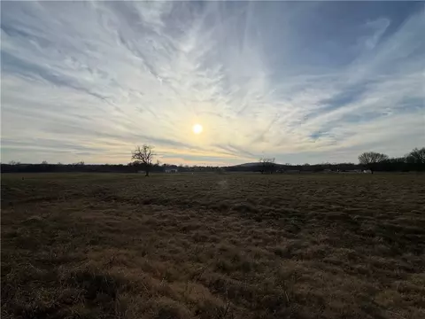 Young Road, Summers, AR 72769 photo 3