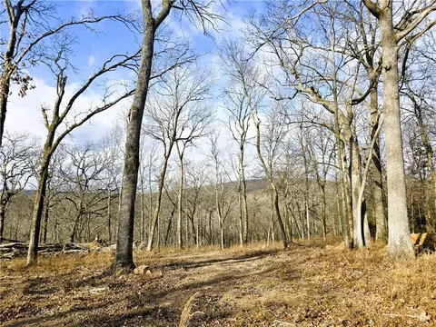 11546 11596 Brubaker Rd, West Fork, AR 72774 photo 2
