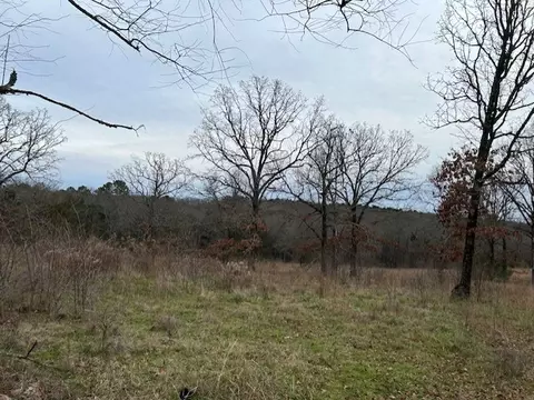 1295 Maple Springs Rd, Russellville, AR 72802