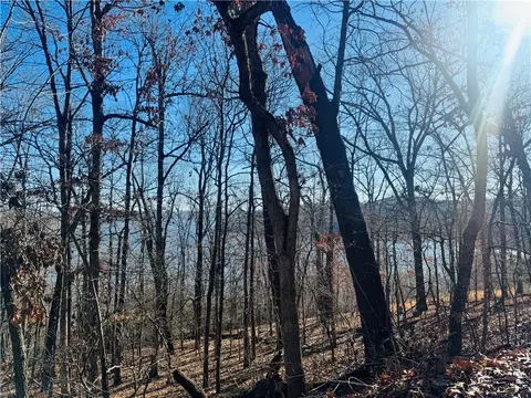 10532 Red Bluff Rd, Garfield, AR 72732