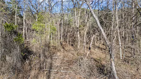 80 Acres Off Of Sr 164 W, Dover, AR 72837 photo 25