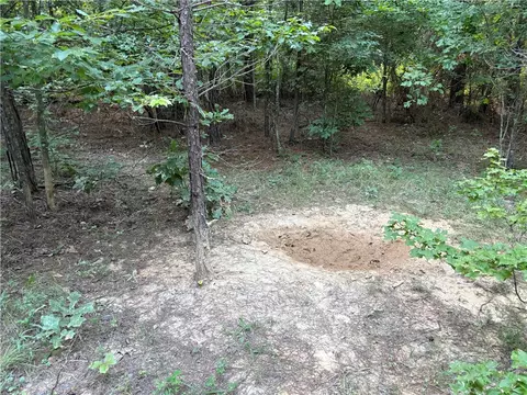 80 Acres Off Of Sr 164 W, Dover, AR 72837 photo 49